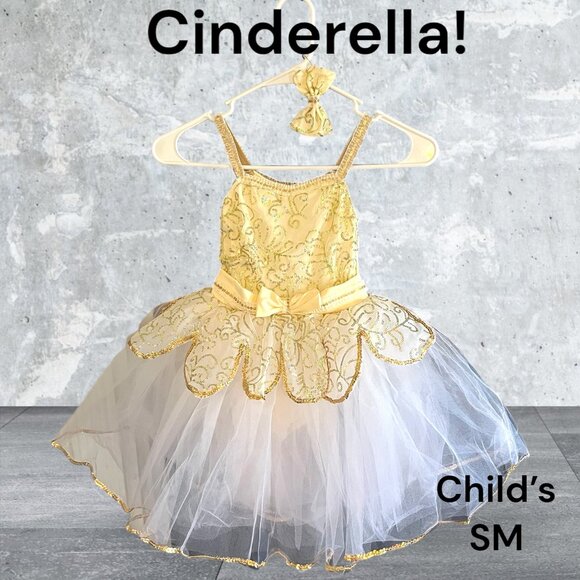 CInderella Costume - Picture 1 of 2